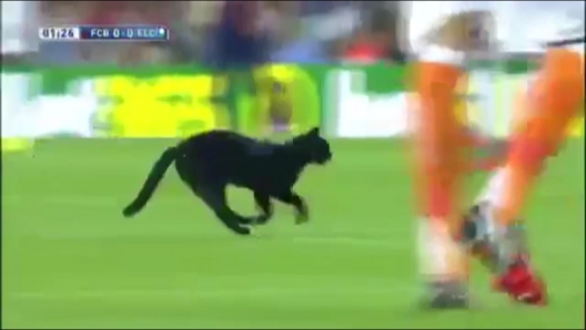 VIDEO: Bất ngờ chú Mèo xuất hiện trong trận đấu Barca vs Elche