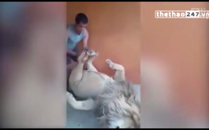 VIDEO: Thanh niên ''cứng'' cả gan ''cù chân'' sư tử