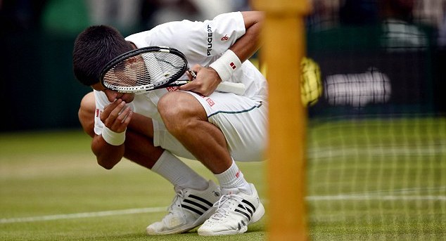 VIDEO: Djokovic gặm cỏ để ăn mừng chức vô địch Wimbledon 2015