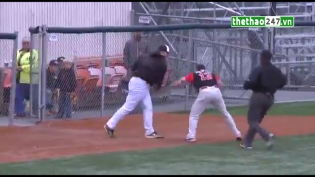 VIDEO: Ẩu đả dữ dội giữa 2 vị HLV bóng chày