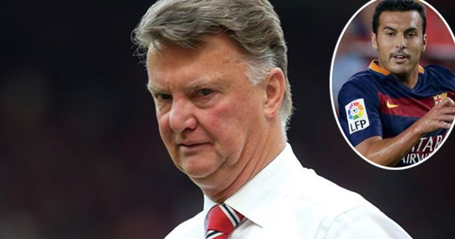 Van Gaal lần đầu nói về vụ mua hụt Pedro