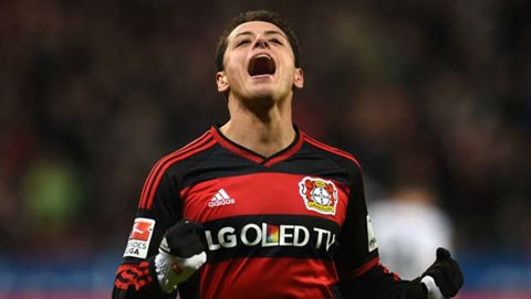 Leverkusen tổn thất nặng, Chicharito chấn thương