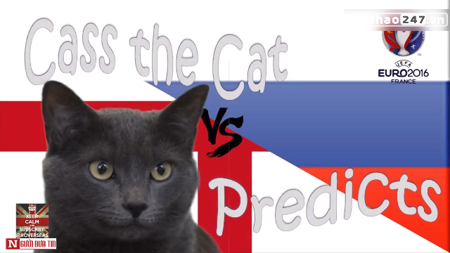 VIDEO: Mèo Cass dự đoán kết quả trận Anh vs Nga
