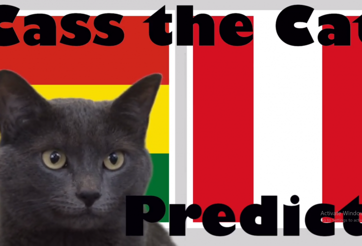 Mèo tiên tri dự đoán kết quả Bolivia vs Peru: Có bất ngờ?