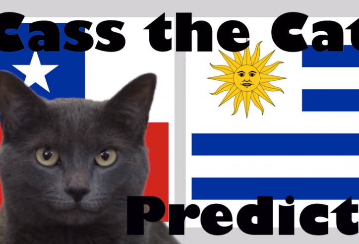 Mèo tiên tri dự đoán Chile vs Uruguay: Mạo hiểm!