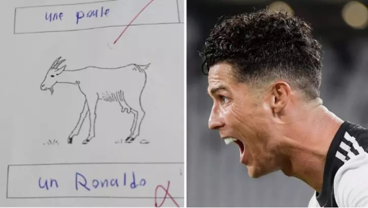 Học sinh thi trượt vì ví Ronaldo với động vật