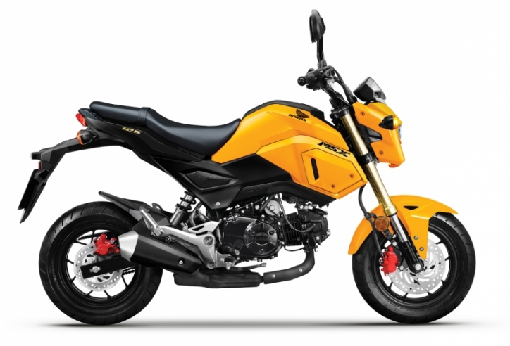 Honda MSX 125 2020 “thay áo” mới, giá 49,99 triệu đồng