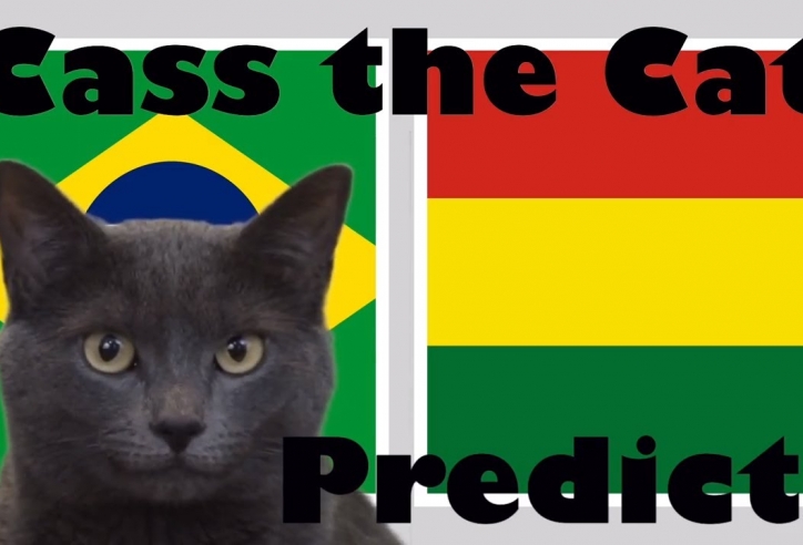 Mèo tiên tri dự đoán kết quả Brazil vs Boliva: Ra quân thuận lợi