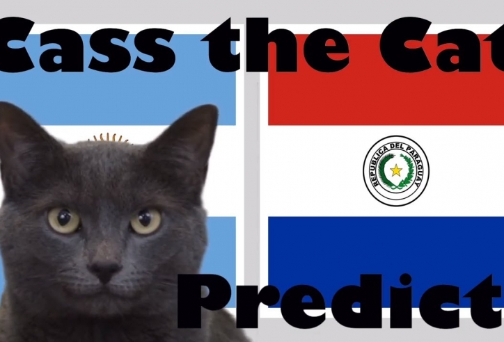 Mèo tiên tri dự đoán kết quả Argentina vs Paraguay: Cơ hội mong manh
