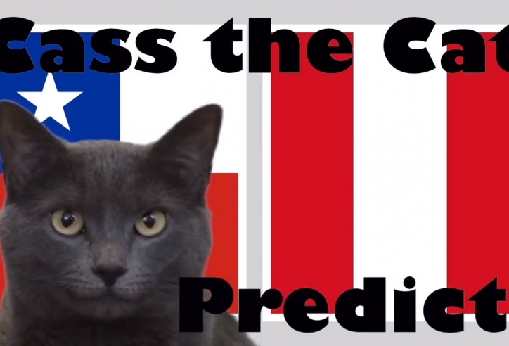 Mèo tiên tri dự đoán kết quả Chile vs Peru: Sốc! 