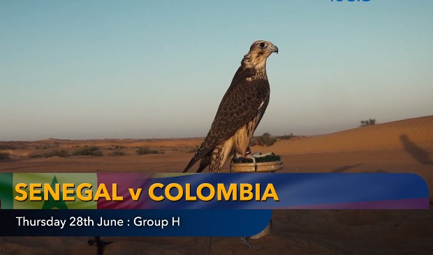 Nhà tiên tri dự đoán kết quả Senegal vs Colombia: Sẽ có bất ngờ?