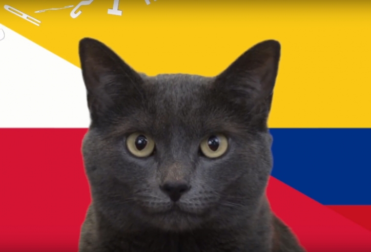Mèo tiên tri dự đoán kết quả, tỉ số Ba Lan vs Colombia