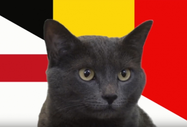 Mèo tiên tri dự đoán kết quả Anh vs Bỉ: Lựa chọn tối ưu