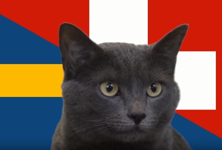 Mèo tiên tri dự đoán kết quả Thụy Điển vs Thụy Sĩ: Khó tin