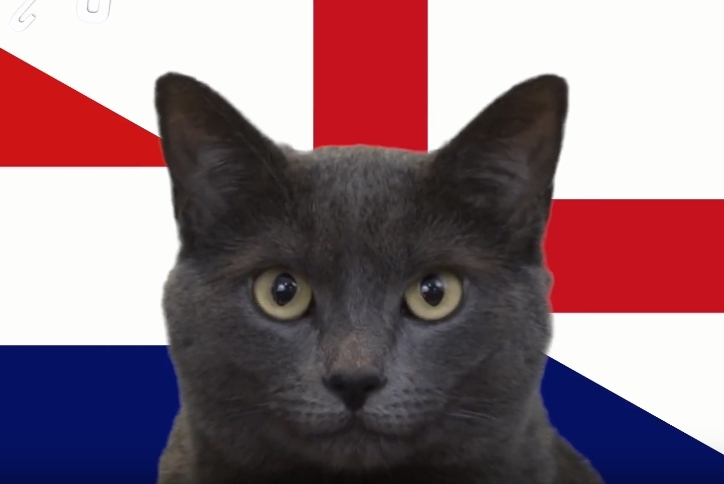 Mèo tiên tri dự đoán kết quả Anh vs Croatia: Niềm tin lớn