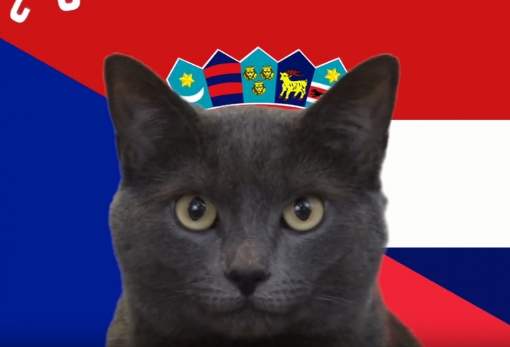 Mèo tiên tri dự đoán kết quả Pháp vs Croatia: Soi kèo khó?