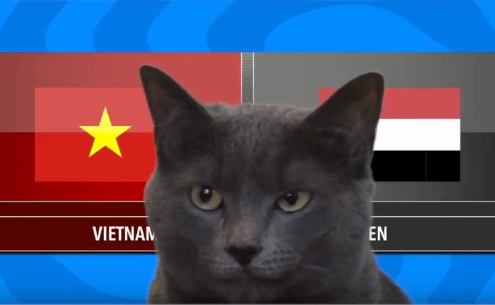 VIDEO: Mèo tiên tri dự đoán kết quả Việt Nam vs Yemen