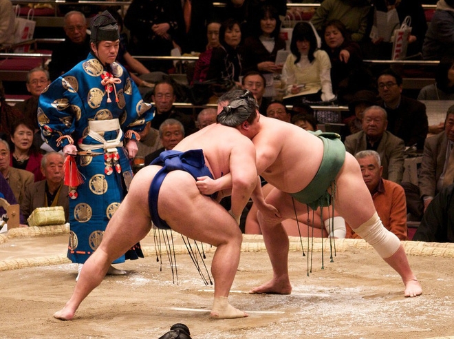 Nặng hơn 100kg, sumo có thể đi 'máy bay' như thế nào?