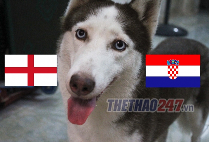 Tiên tri Loki tái xuất, dự đoán kết quả World Cup: Anh vs Croatia