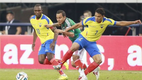 Đấu Mexico, Ecuador chạy đà thất bại trước Copa America