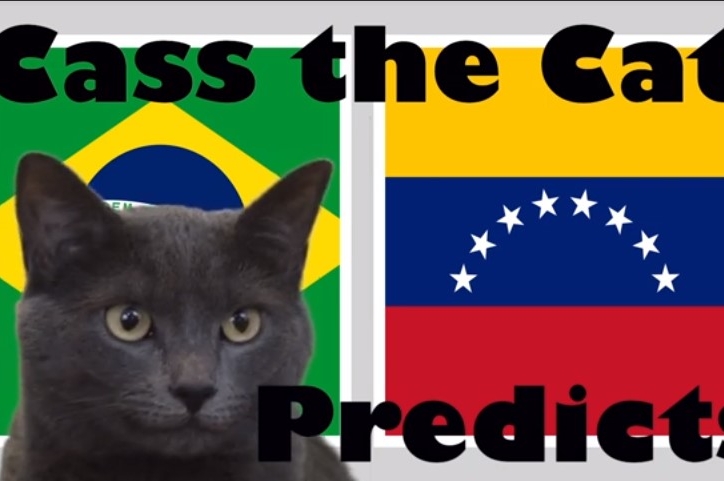 Mèo tiên tri dự đoán kết quả Brazil vs Venezuela: 3 điểm chủ nhà