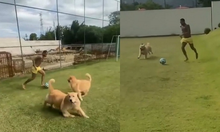 VIDEO: Neymar chơi bóng cùng 2 chú chó trong thời gian cách tại nhà