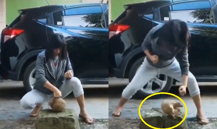 VIDEO: Nữ sinh Việt gây sốc với cú đấm nát quả sầu riêng và tảng đá