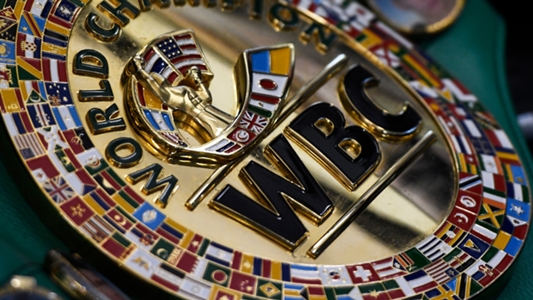 WBC đưa ra hạng cân Quyền Anh mới: Bridgerweight