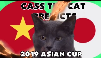 VIDEO: Mèo 'tiên tri' dự đoán Việt Nam đả bại Nhật Bản