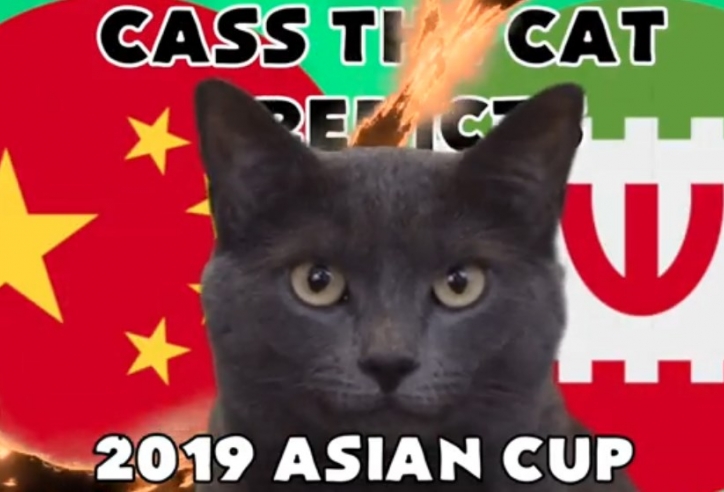 VIDEO: Mèo tiên tri dự đoán trận Trung Quốc vs Iran