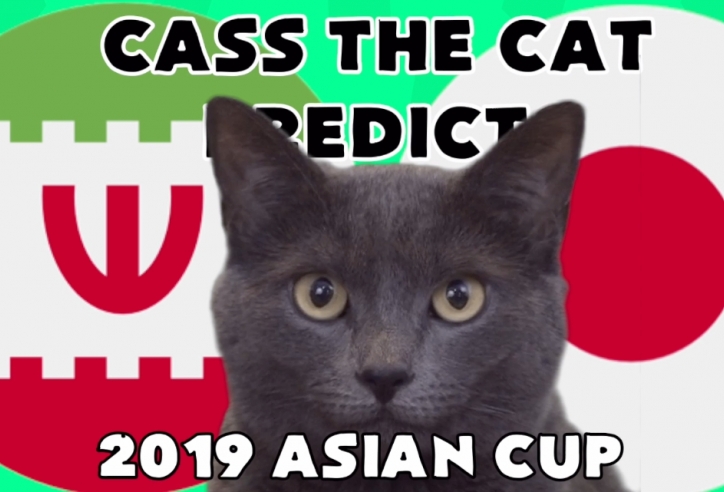 VIDEO: Mèo tiên tri dự đoán trận Iran vs Nhật Bản