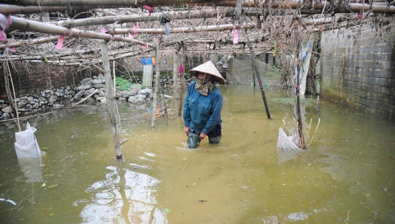 'Rốn lũ' Chương Mỹ khẩn trương đắp đê, di dời người dân trước khi nước sông Bùi dâng lên báo động nguy hiểm