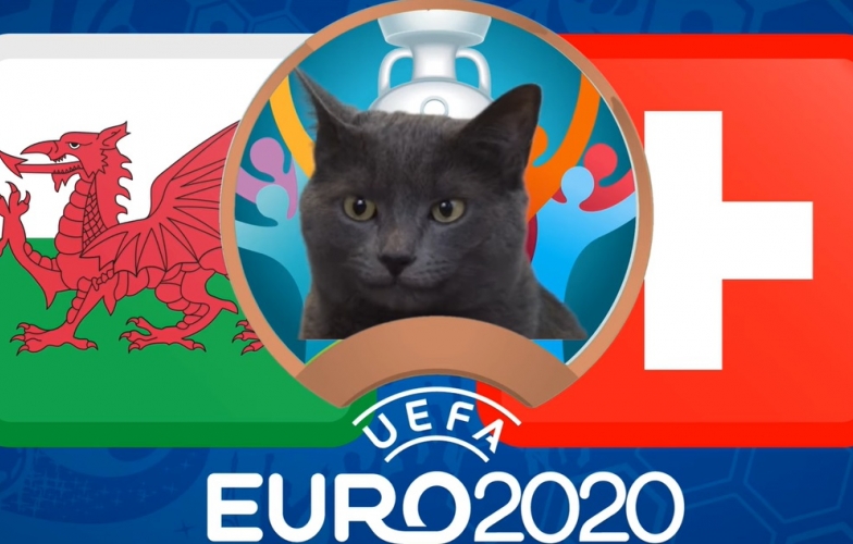 Mèo tiên tri dự đoán Xứ Wales vs Thụy Sĩ: Kết quả khó lường
