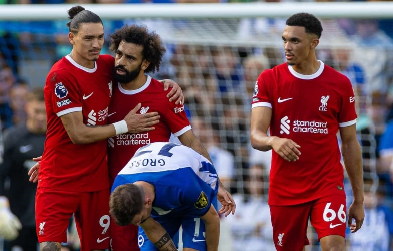 Nhận định Brighton vs Liverpool: Lữ đoàn đỏ gặp khó, 02h30 ngày 31/10