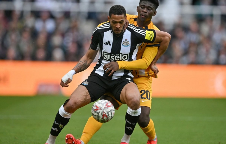 Nhận định Brighton vs Newcastle: Giữ vững top 3