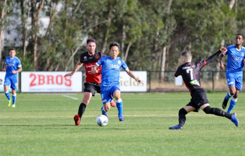 Nhận định Avondale vs Dandenong Thunder: Cạnh tranh thứ hạng