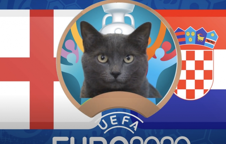 Mèo tiên tri dự đoán Anh vs Croatia: Kẻ mạnh chưa chắc đã thắng