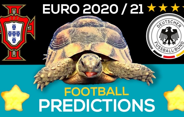 Thần Rùa tiên tri dự đoán bất ngờ kết quả Bồ Đào Nha vs Đức