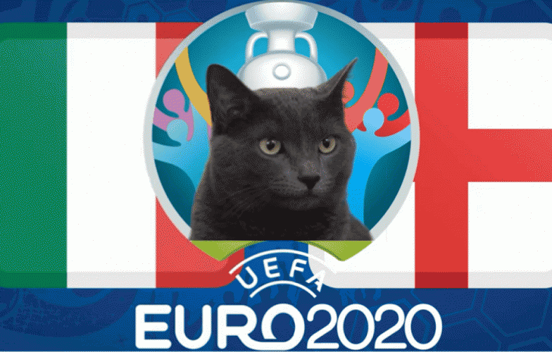 Mèo tiên tri dự đoán Ý vs Anh: Lộ diện nhà vô địch!
