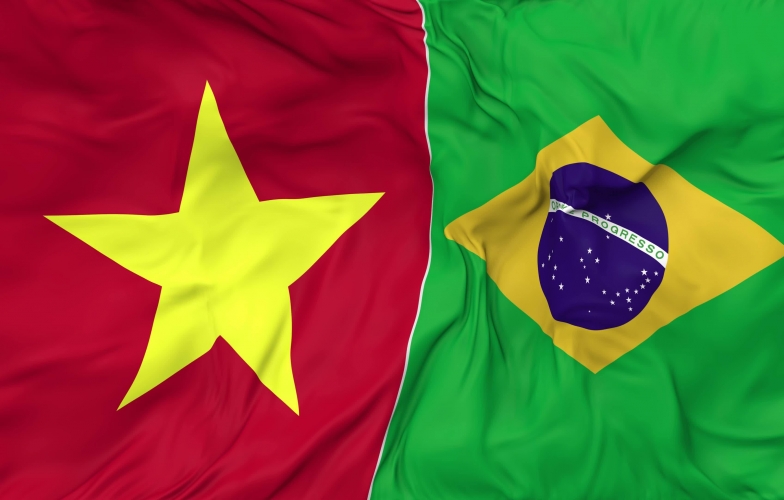 Việt Nam so tài với Brazil ở trận cầu đặc biệt
