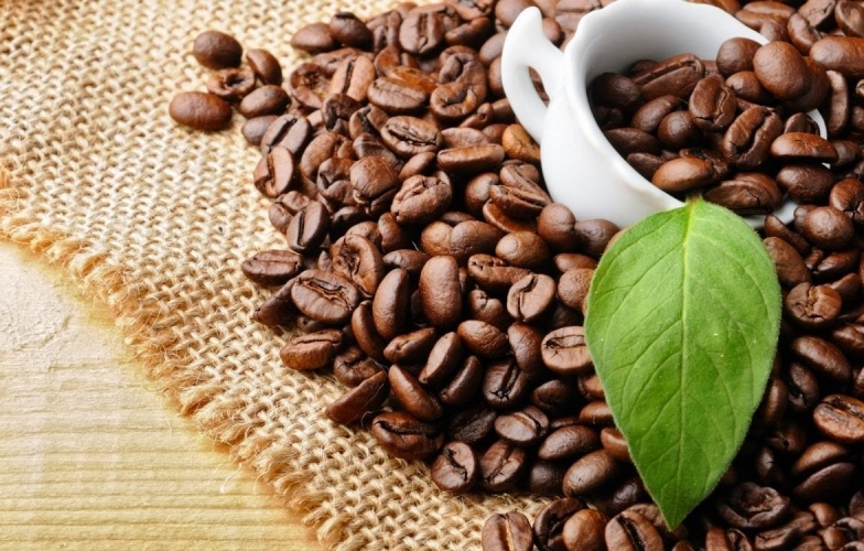 Giá cà phê hôm nay 22/5: Khó giữ mốc 125.000 đồng/kg