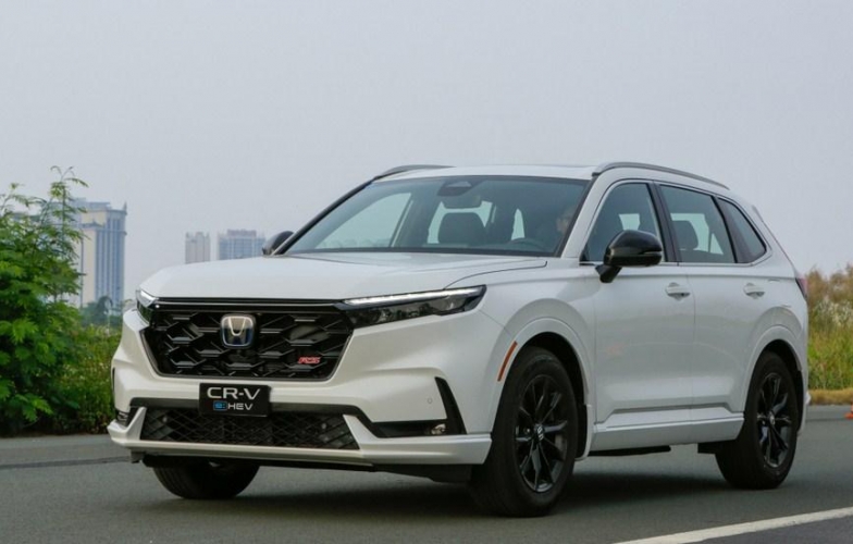 Toyota thống trị bảng xếp hạng xe hybrid tháng 6, Suzuki âm thầm vươn lên