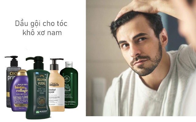 Top 7 dầu gội cho tóc khô xơ nam, phục hồi hư tổn hiệu quả