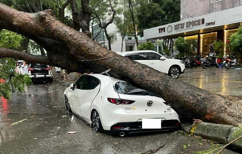 Ảnh hưởng từ siêu bão Yagi: Hà Nội nổi mưa giông lớn khiến hàng loạt ô tô, xe máy bị cây đổ đè bẹp