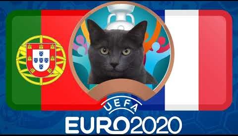 Mèo tiên tri dự đoán Bồ Đào Nha vs Pháp: Dắt tay nhau bước tiếp