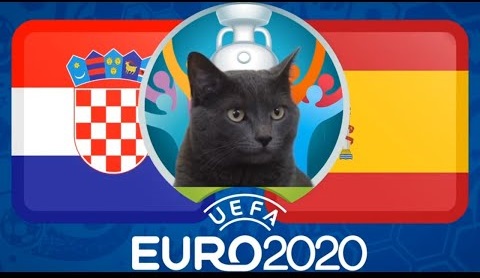 Mèo tiên tri dự đoán Tây Ban Nha vs Croatia: Đại gia chắc thắng