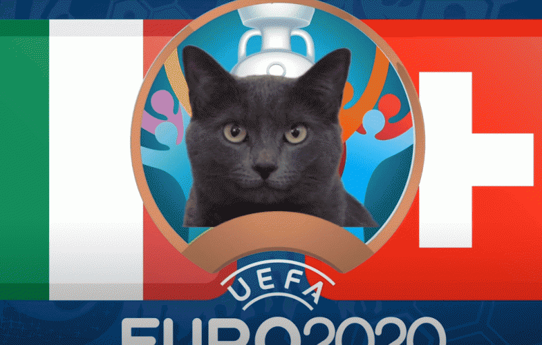 Mèo tiên tri dự đoán Italia vs Thụy Sĩ: 'Cửa trên' thắng chắc?