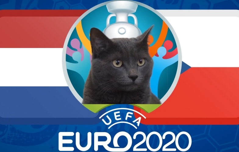 Mèo tiên tri dự đoán kết quả Hà Lan vs CH Séc: Đẳng cấp 'cửa trên'