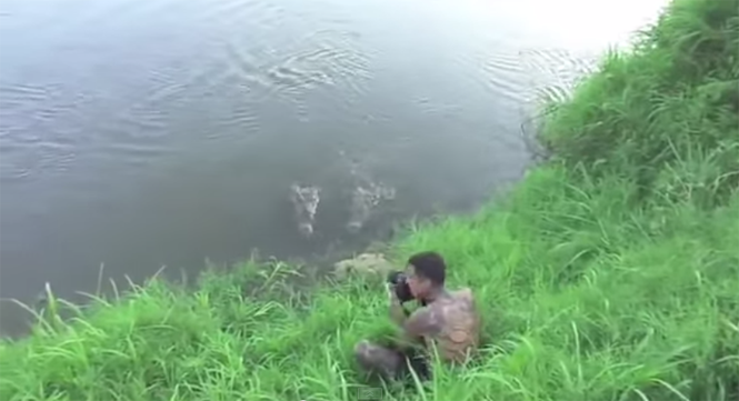 VIDEO: Suýt bị cá sấu 'làm thịt' vì chủ quan