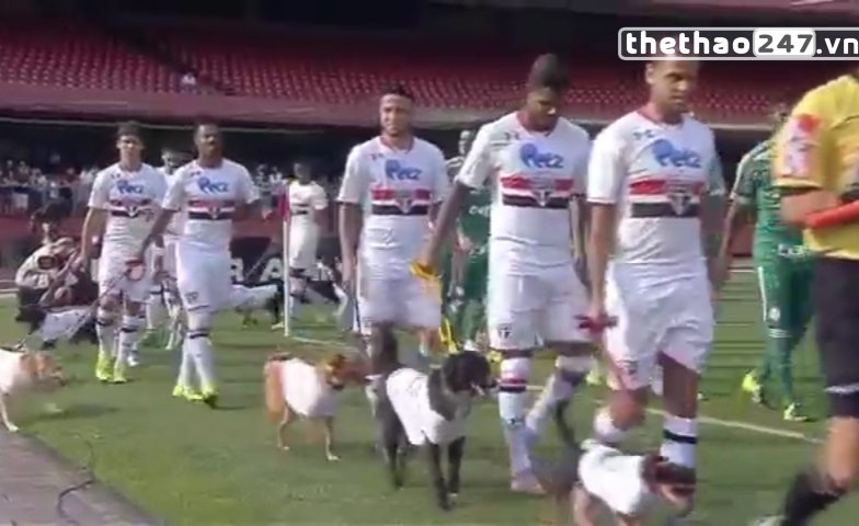 VIDEO: Hài hước CLB của Kaka dắt chó ra sân để làm nghi lễ trước trận đấu